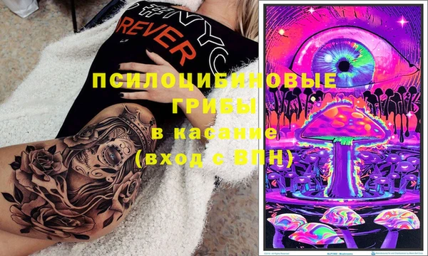 первитин Ладушкин