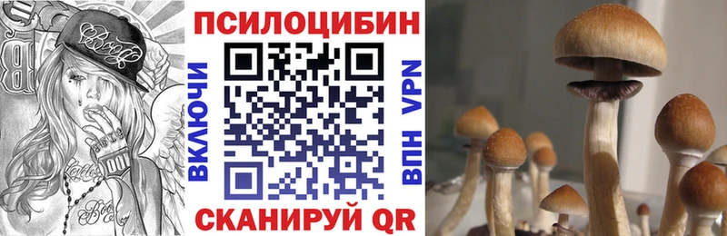 Псилоцибиновые грибы ЛСД  дарнет шоп  Лосино-Петровский 